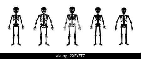 Set di sagome nere di scheletri umani isolati su uno sfondo bianco. Concetto di Halloween, illustrazione anatomica, struttura ossea, illustrazione spettrale. Stampa, icona, elemento di design Illustrazione Vettoriale