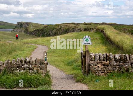 Vista verso est lungo il Vallo di Adriano da Steel Rigg, Northumberland, Inghilterra Foto Stock