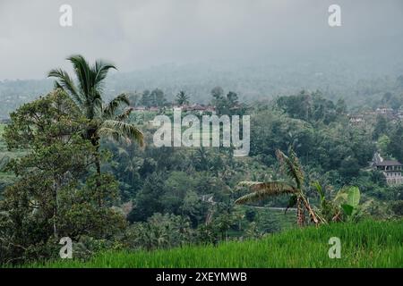 Un paesaggio delle risaie terrazzate di Jatiluwih con un piccolo villaggio a Bali Foto Stock