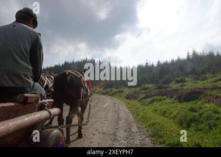 Viaggia a cavallo e in carro sul passo di Borgo, Transilvania, Romania, apparso nel romanzo di Bram Stoker Dracula. Foto Stock