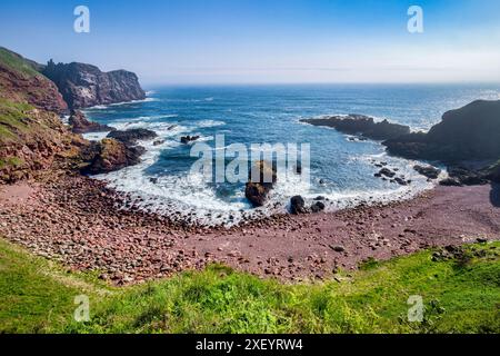 Starney Bay, St Abbs, nella regione di confine della Scozia, in una nebulosa giornata primaverile. Foto Stock