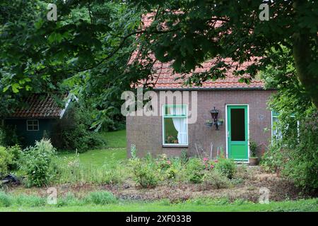 Vecchia casa in mattoni con tetto piastrellato nella campagna dei Paesi Bassi, erba verde e alberi. Bell'edificio olandese classico, foto da vicino. Foto Stock