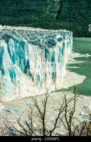 Ghiacciaio Perito Moreno, Parco Nazionale Los Glaciares, Dipartimento Lago Argentino, Provincia di Santa Cruz, Patagonia, Repubblica Argentina. Foto Stock