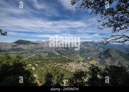 Alaro castello, rovine delle mura occidentali, Alaro, Maiorca, Baleari, Spagna. Foto Stock