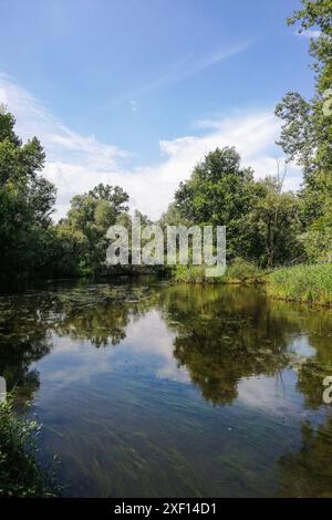 Italia, Lombardia, Bernate Ticino, Parco del Ticino, Lanca di Bernate Foto Stock