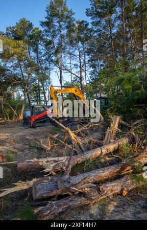 Nativo di habitat della foresta distrutta per la costruzione di nuovi alloggi in North Central Florida Foto Stock