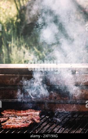 Un primo piano di carne alla griglia su un barbecue in mattoni. La carne è sfrigolante e affumicata, con fumo bianco che fuoriesce dalla griglia Foto Stock