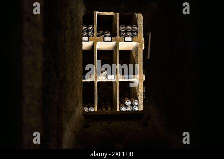 Il Bremer Ratskeller è un ristorante tradizionale e negozio di vini nella cantina del municipio di Brema risalente al 1405, dove sono conservate 650 varietà di vini esclusivamente tedeschi, Brema, Germania Foto Stock