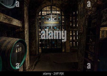 Il Ratskeller Bremen ha la più grande collezione di vini tedeschi. C'è spazio per un massimo di 500.000 bottiglie nella Schatzkammer (camera del tesoro) e in altri magazzini sotto la piazza del mercato di Brema. Il Bremer Ratskeller è un ristorante tradizionale e negozio di vini nella cantina del municipio di Brema risalente al 1405, dove sono conservate 650 varietà di vini esclusivamente tedeschi, Brema, Germania Foto Stock