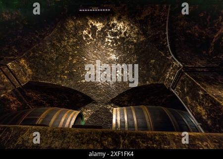 Vecchie botti di legno e colture di lieviti sui soffitti a volta nel Ratskeller Bremen. La più grande collezione di vini tedeschi è conservata qui. Il Bremer Ratskeller è un ristorante tradizionale e negozio di vini nella cantina del municipio di Brema risalente al 1405, dove sono conservate 650 varietà di vini esclusivamente tedeschi, Brema, Germania Foto Stock