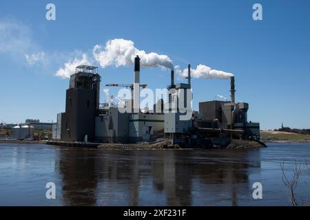 Cartiera e cellulosa Irving presso le cascate Reversing Falls di Saint John, New Brunswick, Canada Foto Stock