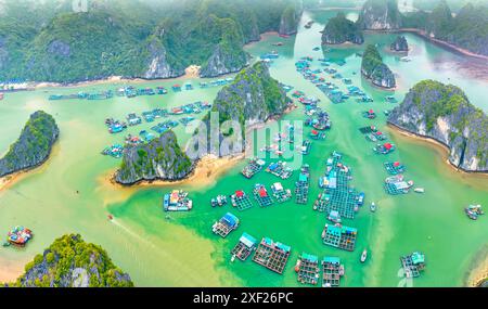 Vista aerea dei villaggi galleggianti intorno alle isole Cat Ba. Cat Ba è la più grande delle 366 isole, che costituiscono il bordo sud-orientale della baia di ha Long Foto Stock