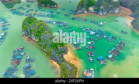 Vista aerea dei villaggi galleggianti intorno alle isole Cat Ba. Cat Ba è la più grande delle 366 isole, che costituiscono il bordo sud-orientale della baia di ha Long Foto Stock