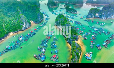 Vista aerea dei villaggi galleggianti intorno alle isole Cat Ba. Cat Ba è la più grande delle 366 isole, che costituiscono il bordo sud-orientale della baia di ha Long Foto Stock