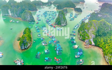 Vista aerea dei villaggi galleggianti intorno alle isole Cat Ba. Cat Ba è la più grande delle 366 isole, che costituiscono il bordo sud-orientale della baia di ha Long Foto Stock