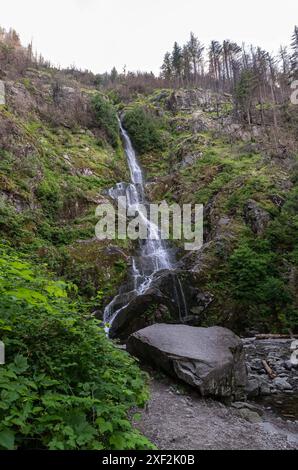 Hope CAN, Kanada / Canada, Urlaubseindruecke und Sehenswuerdigkeiten, Hope, 30.06.2024. Cascate Die Flood Falls am Ende des Gleichnamigen Trails. CAN, Kanada / Canada, Urlaubseindruecke und Sehenswuerdigkeiten, Hope, 30.06.2024. *** Hope CAN, Canada Canada, Vacation impressioni e luoghi di interesse, Hope, 30 06 2024 The Flood Falls alla fine del sentiero omonimo CAN, Canada Canada, Vacation impressioni e luoghi di interesse, Hope, 30 06 2024 Copyright: XEibner-Pressefoto/HeikexFeinerx EP HFR Foto Stock