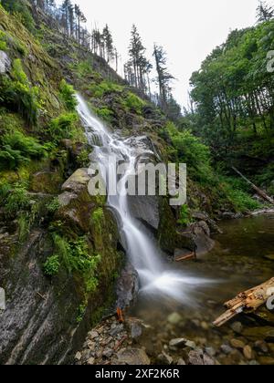 Hope CAN, Kanada / Canada, Urlaubseindruecke und Sehenswuerdigkeiten, Hope, 30.06.2024. Cascate Die Flood Falls am Ende des Gleichnamigen Trails. CAN, Kanada / Canada, Urlaubseindruecke und Sehenswuerdigkeiten, Hope, 30.06.2024. *** Hope CAN, Canada Canada, Vacation impressioni e luoghi di interesse, Hope, 30 06 2024 The Flood Falls alla fine del sentiero omonimo CAN, Canada Canada, Vacation impressioni e luoghi di interesse, Hope, 30 06 2024 Copyright: XEibner-Pressefoto/HeikexFeinerx EP HFR Foto Stock