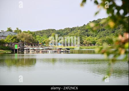 Scivola attraverso le acque tranquille con una tranquilla crociera sul lago. Immergiti in paesaggi mozzafiato: Colline verdeggianti e flora vivace. Foto Stock