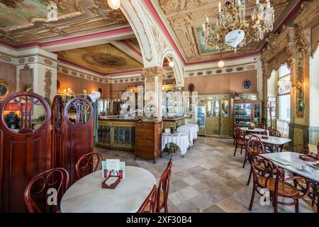 Cafe Royalty, Cadice, Andalusia, Spagna Foto Stock