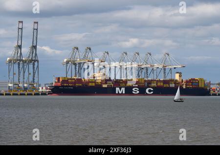 Colossale Containership MSC Calypso che scarica il suo carico al DP World London Gateway Port nell'estuario del Tamigi. Foto Stock