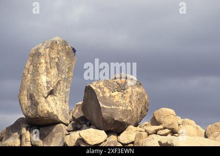 Rocciatore a Joshua Tree National Park. In California, Stati Uniti d'America. Foto Stock