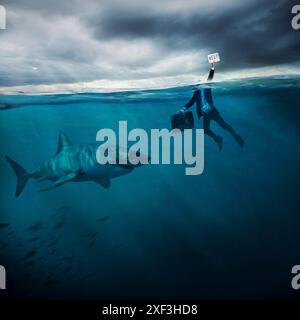 Uomo annegato in mare con uno squalo che nuota vicino Foto Stock