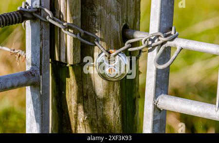 primo piano di una catena a maglie avvolta intorno a un grande palo di legno che fissa saldamente due cancelli galvanizzati con un lucchetto argentato chiuso, con pascolo verde Foto Stock