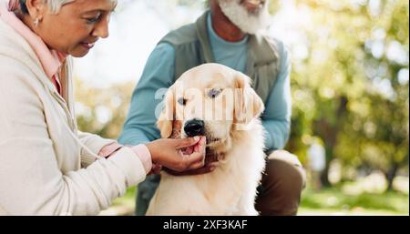 Coppia senior, cane e cura all'aperto con trattamento per amore, supporto e spuntino sano per lode o allenamento nel parco. Persone anziane con animali, cucciolo Foto Stock