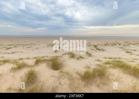 Vista sulle dune costiere sulla costa olandese del Mare del Nord al tramonto. Scenario paesaggistico della natura in Europa. Foto Stock
