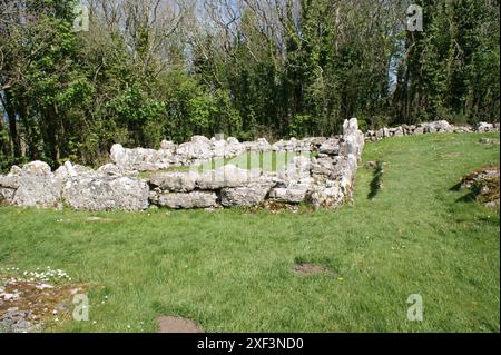 DIN Lligwy i resti di capanne di età di ferro vicino alla costa di Anglesey vicino a Moelfre, nel Galles del Nord Foto Stock