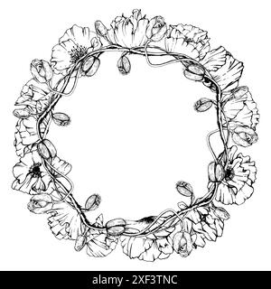 Illustrazione botanica vettoriale disegnata a mano fiori foglie. papavero rosso, steli cime di semi. Telaio a ghirlanda sfondo bianco isolato Illustrazione Vettoriale