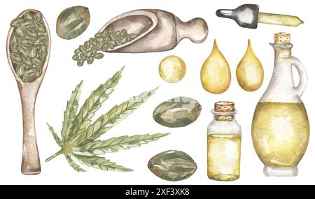 Raccolta di cannabis acquerello con bottiglia di olio e goccia, ramo di cannabis con foglie e semi. Illustrazione disegnata a mano della pianta medicinale, marijuana Foto Stock