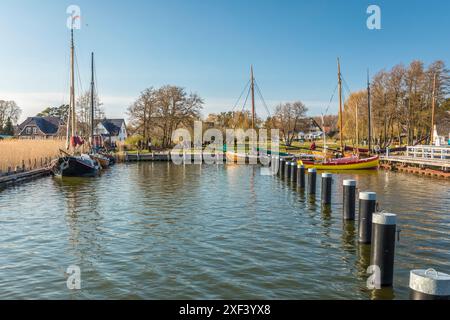 Geografia / viaggi, Germania, Meclemburgo-Pomerania occidentale, nato nel porto di Darss, ULTERIORI-DIRITTI-AUTORIZZAZIONE-INFO-NON-DISPONIBILI Foto Stock