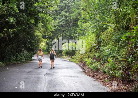 Una madre e sua figlia passeggiano tranquillamente attraverso la Waimea Valley a Honolulu, Hawaii, circondati da vegetazione lussureggiante e alberi maestosi. A loro piace un pisello Foto Stock