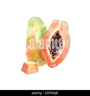 Illustrazione della papaya acquerello disegnata a mano. Foto Stock