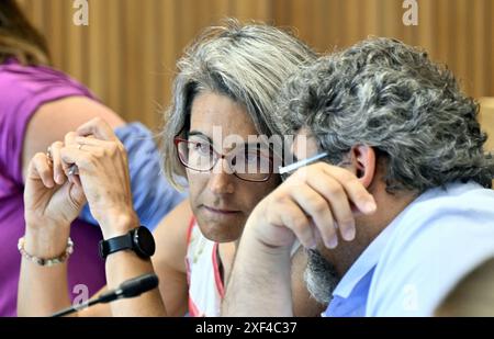 Namur, Belgio. 1 luglio 2024. Ingrid Ruthy di ISSep, nella foto, durante una sessione della Commissione per l’ambiente, la natura e il benessere degli animali presso il Parlamento vallone, a Namur, lunedì 1 luglio 2024. La Commissione discuterà i risultati degli esami del sangue effettuati in seguito a un possibile inquinamento idrico con PFAS chimico permanente nelle regioni di Chievres e Ronquiÿres. BELGA PHOTO ERIC LALMAND credito: Belga News Agency/Alamy Live News Foto Stock