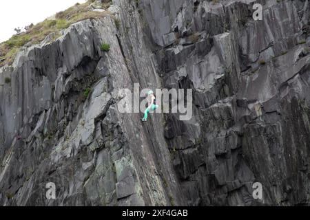 Una sola arrampicatrice completamente attrezzata che scende da una lastra di ardesia, dopo aver completato una salita nelle cave di Dinorwig, Llanberis, nel Galles del Nord Foto Stock