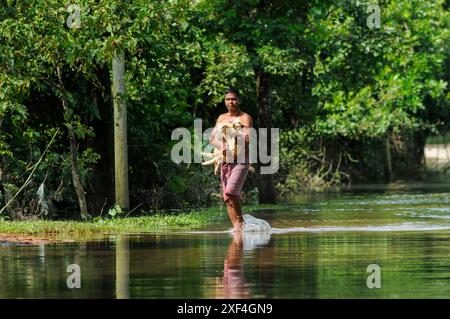 Un uomo che trasporta i suoi cuccioli di pecore cammina attraverso le acque alluvionali nella zona di Shalutikor, Guainghat upozila di Sylhet. Bangladesh. Foto Stock