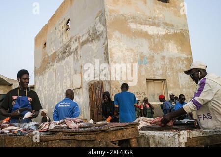 Nicolas Remene/le Pictorium - mercato del pesce a Nouakchott, Mauritania. 28 giugno 2024. Mauritania/Nouakchott/Nouakchott - il mercato del pesce Nouakchott con la sua spiaggia e piroghe il 28 giugno 2024. È considerato il principale mercato del pesce fresco di Nouakchott. Si stima che tra le 10.000 e le 20.000 persone si incontrino lì ogni giorno per commerciare pesce. In quanto tale, svolge un ruolo socioeconomico molto importante nello sviluppo e nella vita degli abitanti della capitale. Crediti: LE PICTORIUM/Alamy Live News Foto Stock