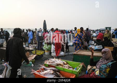 Nicolas Remene/le Pictorium - mercato del pesce a Nouakchott, Mauritania. 28 giugno 2024. Mauritania/Nouakchott/Nouakchott - il mercato del pesce Nouakchott con la sua spiaggia e piroghe il 28 giugno 2024. È considerato il principale mercato del pesce fresco di Nouakchott. Si stima che tra le 10.000 e le 20.000 persone si incontrino lì ogni giorno per commerciare pesce. In quanto tale, svolge un ruolo socioeconomico molto importante nello sviluppo e nella vita degli abitanti della capitale. Crediti: LE PICTORIUM/Alamy Live News Foto Stock