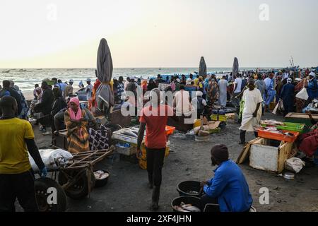 Nicolas Remene/le Pictorium - mercato del pesce a Nouakchott, Mauritania. 28 giugno 2024. Mauritania/Nouakchott/Nouakchott - il mercato del pesce Nouakchott con la sua spiaggia e piroghe il 28 giugno 2024. È considerato il principale mercato del pesce fresco di Nouakchott. Si stima che tra le 10.000 e le 20.000 persone si incontrino lì ogni giorno per commerciare pesce. In quanto tale, svolge un ruolo socioeconomico molto importante nello sviluppo e nella vita degli abitanti della capitale. Crediti: LE PICTORIUM/Alamy Live News Foto Stock