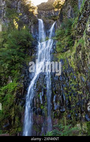 Levada cammina nella valle di Rabac, Madeira, scendendo dall'altopiano di Paul da Serra, Rabac, per ammirare la cascata di Risco. Foto Stock