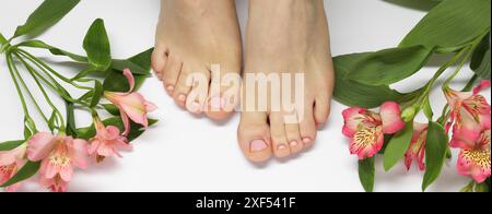 Donna che mostra unghie del piede pulite dopo la procedura di pedicure e fiori su sfondo bianco, vista dall'alto. Design banner con spazio per il testo Foto Stock