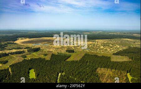 Vista aerea, Parco naturale High Fens Eifel, altopiano vicino all'area di conservazione del paesaggio di Mützenich, prati e campi dell'altopiano di Fens, complesso brughiera, bord Foto Stock