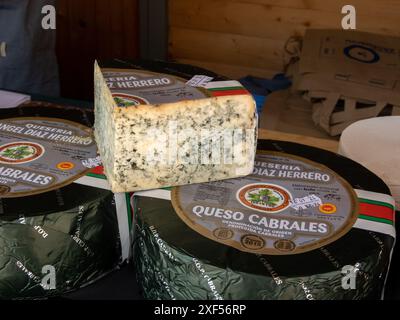 OVIEDO, SPAGNA - 10 MAGGIO 2024: Cabrales formaggio blu latte vaccino non pastorizzato dal caseificio Angel Diaz Herrero in occasione della giornata dell'Ascensione a Ovi Foto Stock