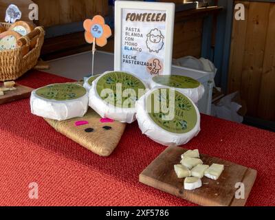 OVIEDO, SPAGNA - 10 MAGGIO 2024: Formaggio tenero Fontella sotto una crosta di muffa bianca in occasione della giornata della Fiera dell'Ascensione a Oviedo, Asturie, Spagna. Foto Stock