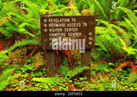 Accesso Redwood segnavia, Prairie Creek Redwoods State Park, il Parco Nazionale di Redwood in California Foto Stock