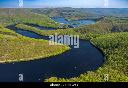 Vista aerea, fiume Rur e Urfttalsperre Urftsee, vista distante delle colline e delle valli della foresta, Parco Nazionale Eifel Nord Eifel, Rurberg, Simmerath, Nor Foto Stock