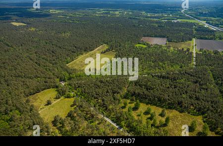 Fotografia aerea, riserva naturale di Moosheide a Senne, area boschiva di brughiera sull'Emser Kirchweg, area escursionistica, Hövelhof, Westfalia orientale, Nord R. Foto Stock