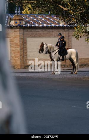 Siviglia, Spagna. 7 febbraio 2024 - due agenti di polizia a cavallo per strada Foto Stock